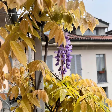 Apartment Ai Tetti